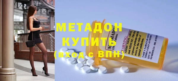 индика Мегион