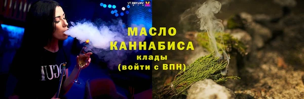 индика Мегион