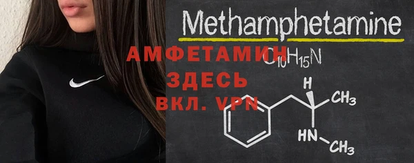 индика Мегион