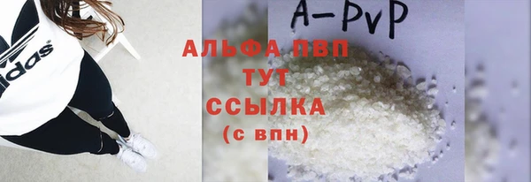 индика Мегион
