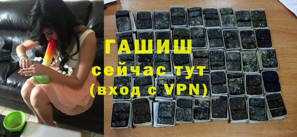 индика Мегион