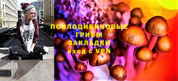 СК Медвежьегорск