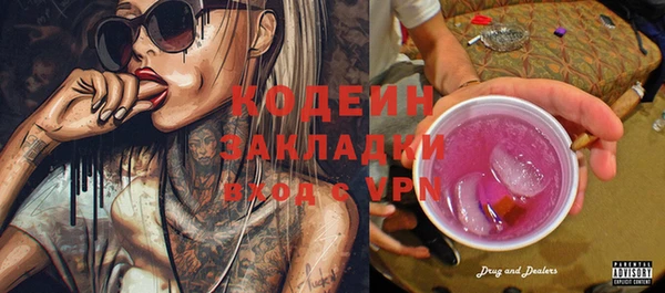 индика Мегион