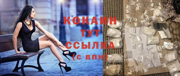 индика Мегион