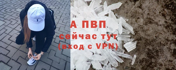 индика Мегион