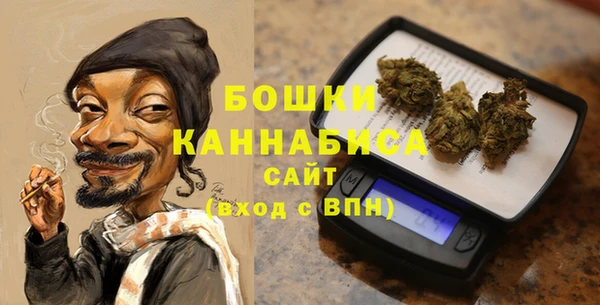индика Мегион