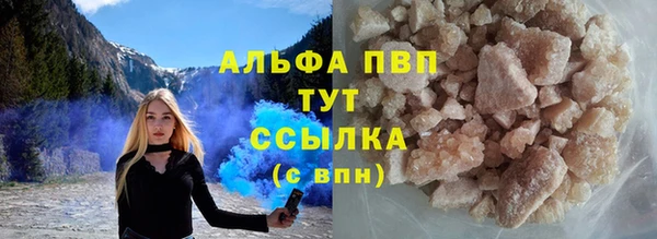 СК Медвежьегорск