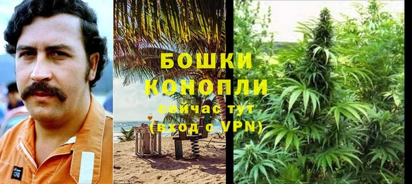 индика Мегион