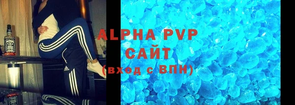 индика Мегион